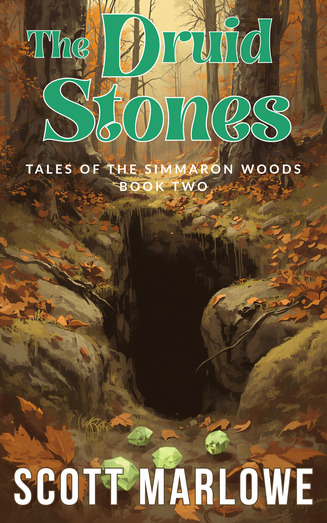 Book cover for The Druid Stones